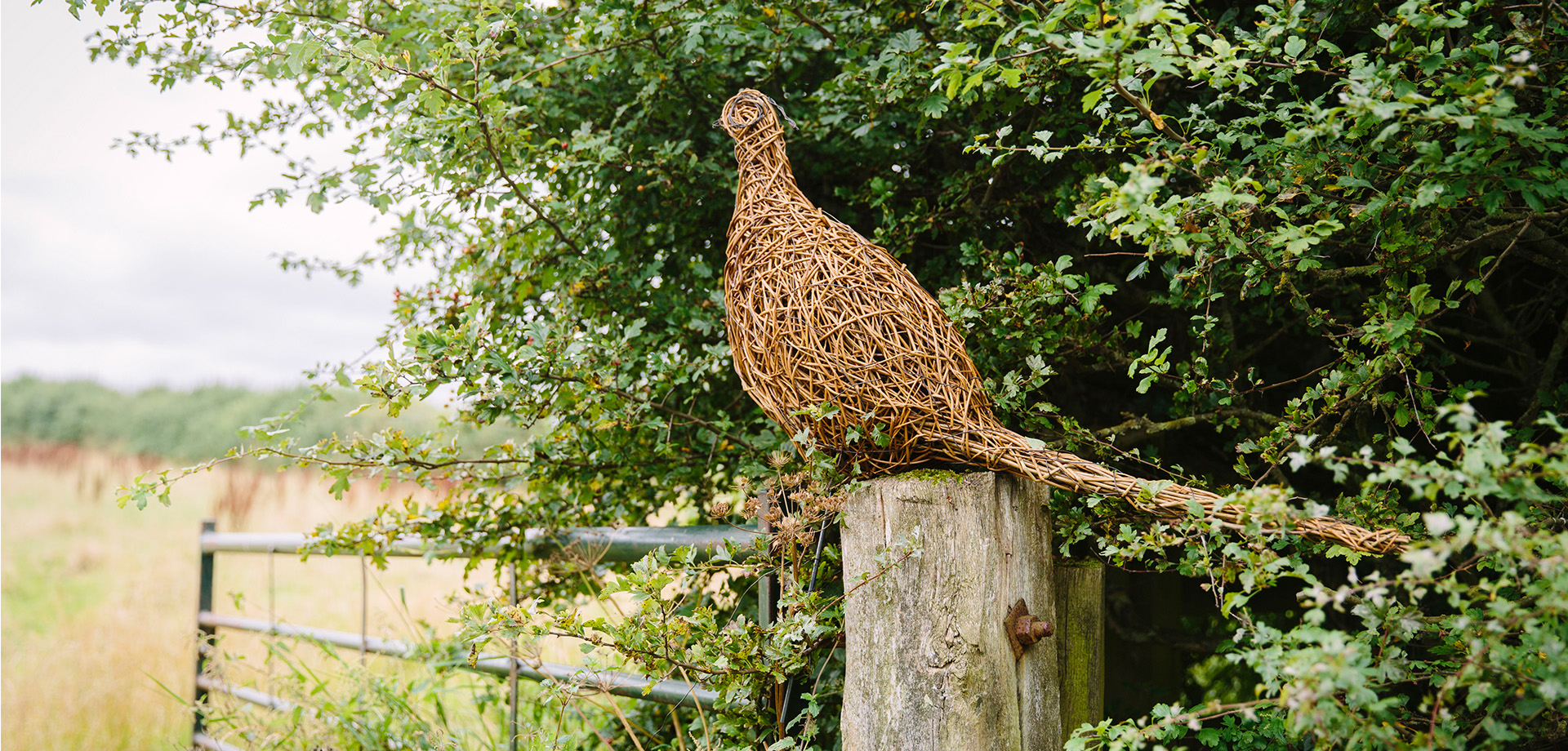 Pheasant Willow Weaving Masterclass