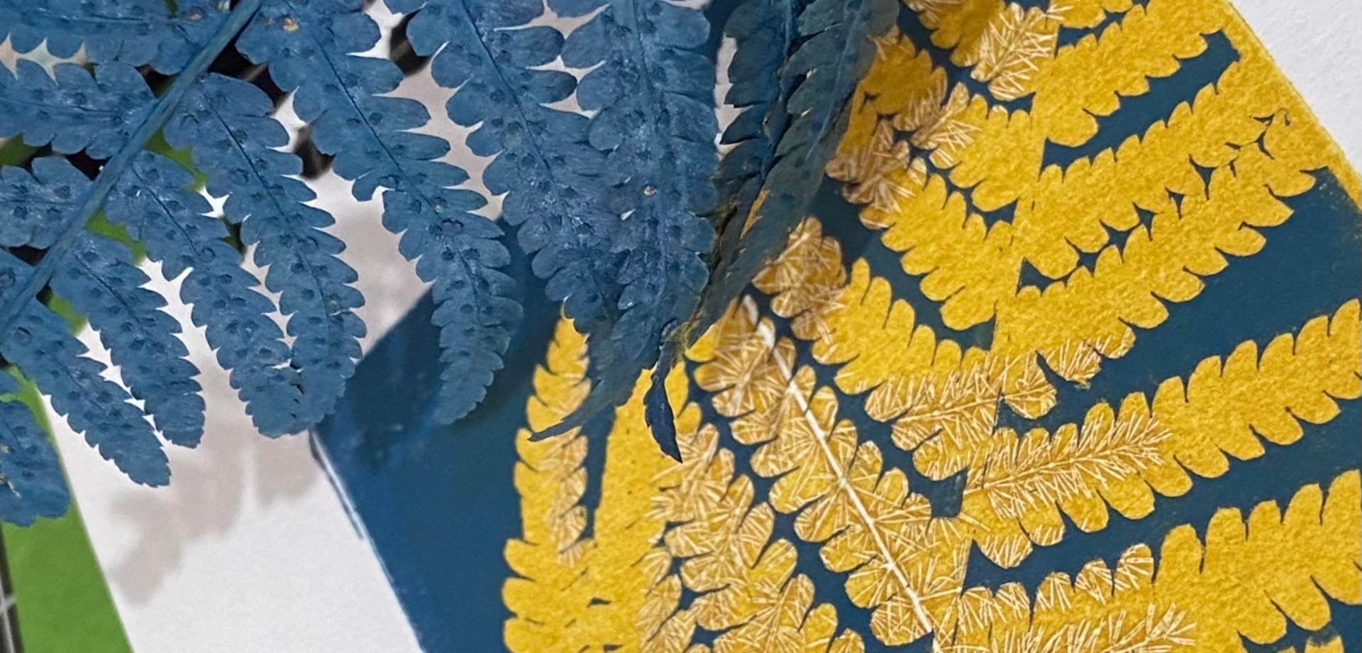 Mono Printing from Nature