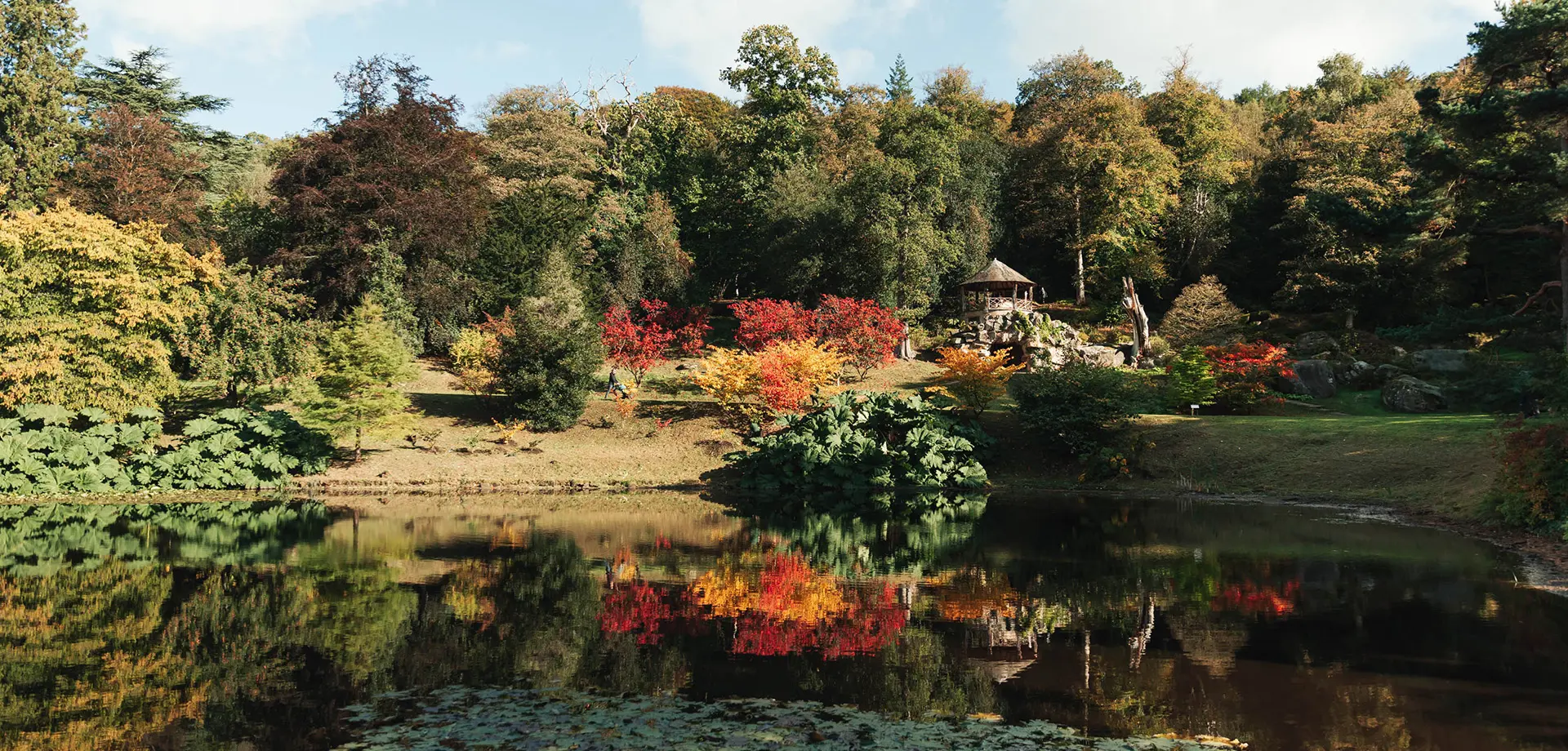 Autumnal Guided Drawing Walks
