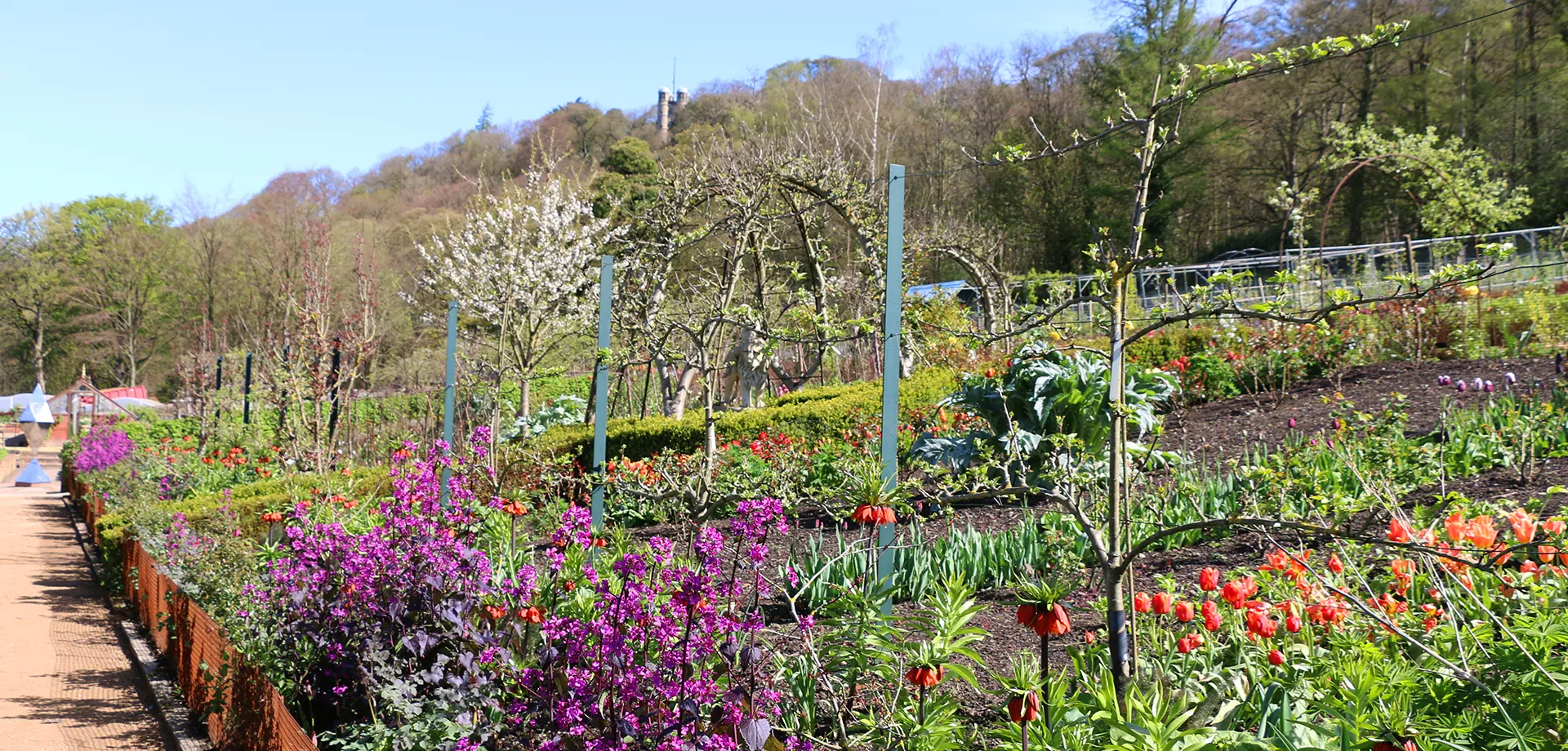 Chatsworth Kitchen Garden
