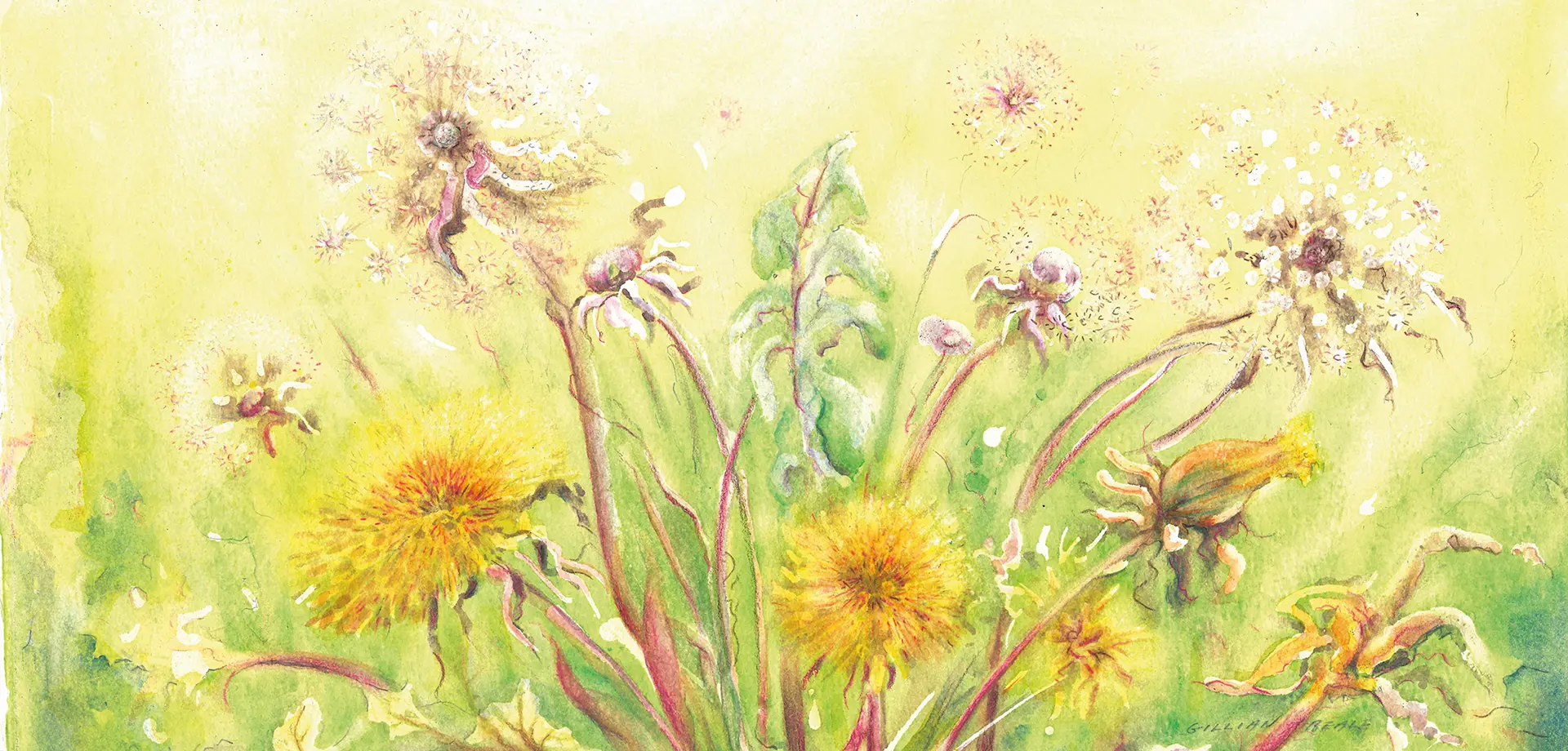 Watercolour workshop