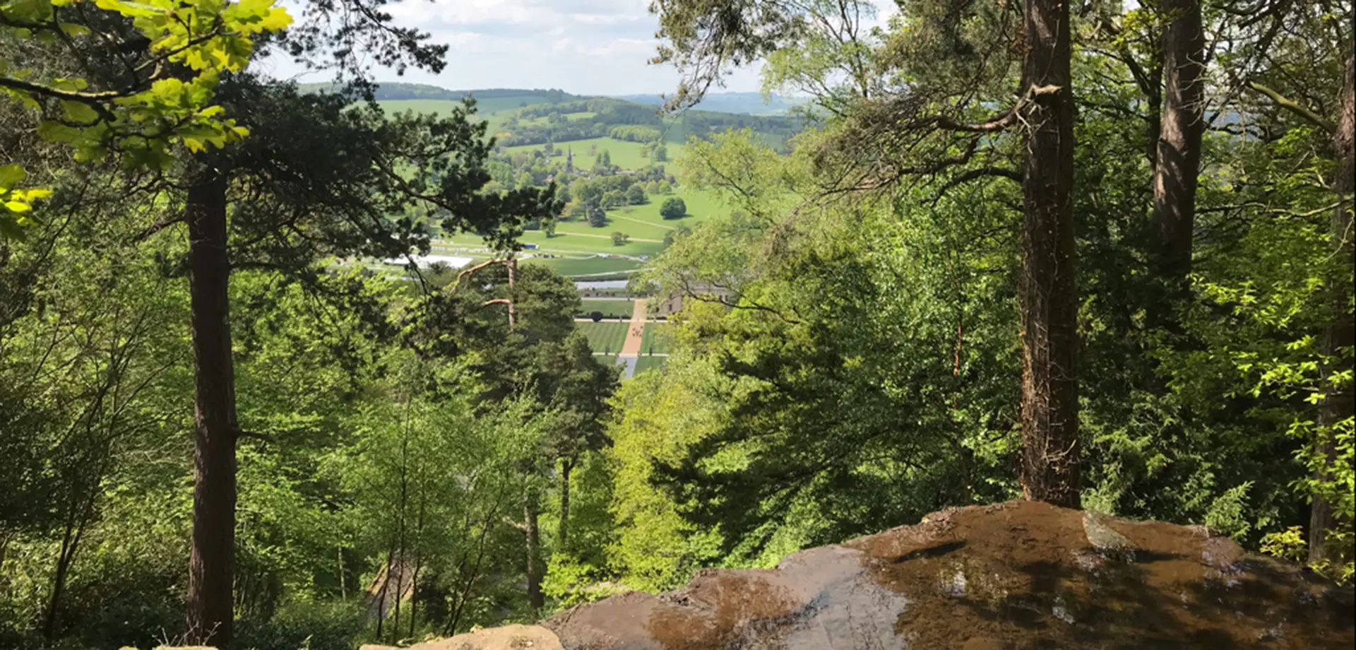 Mindful Waterways Walk – Stand Wood 