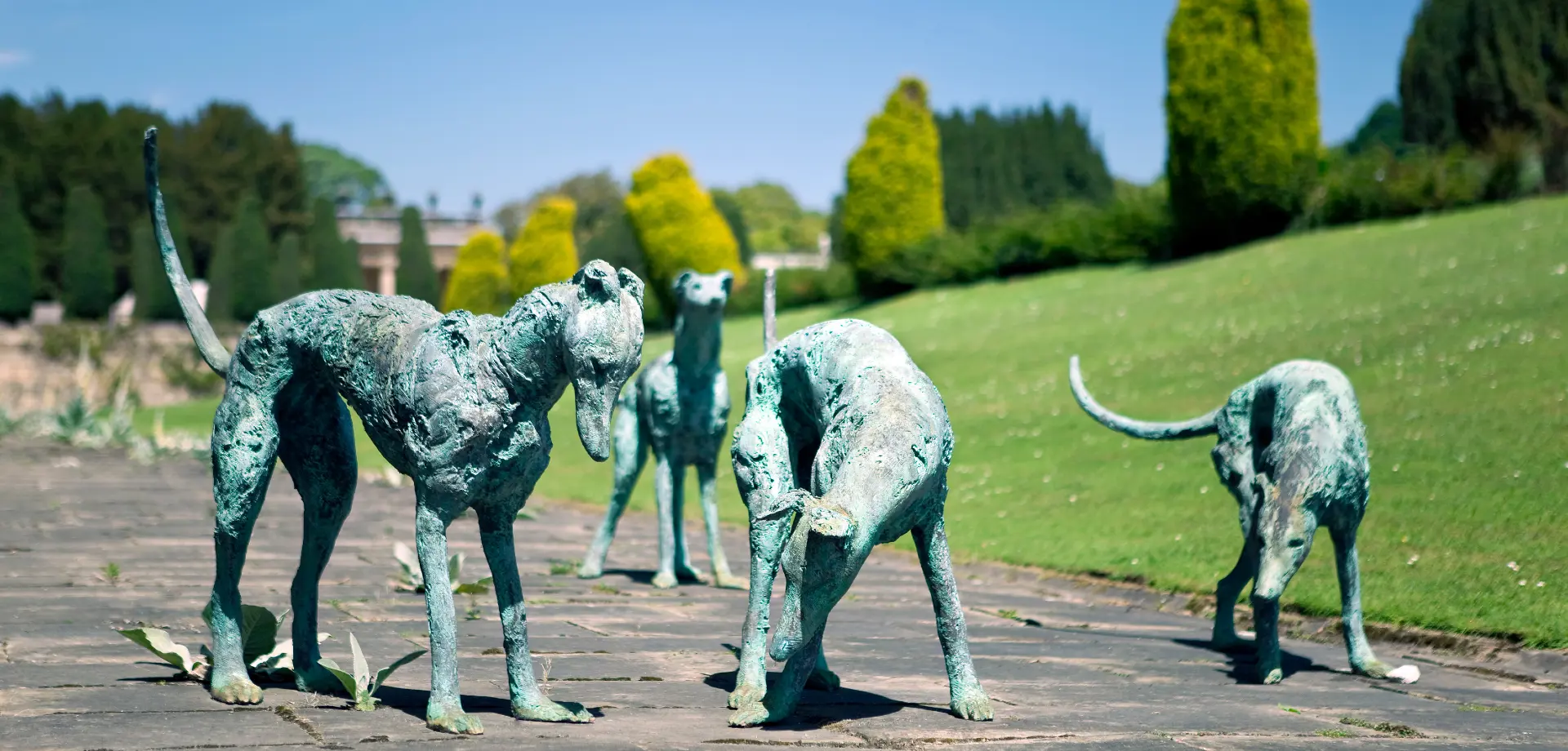 Garden sculpture clean programme