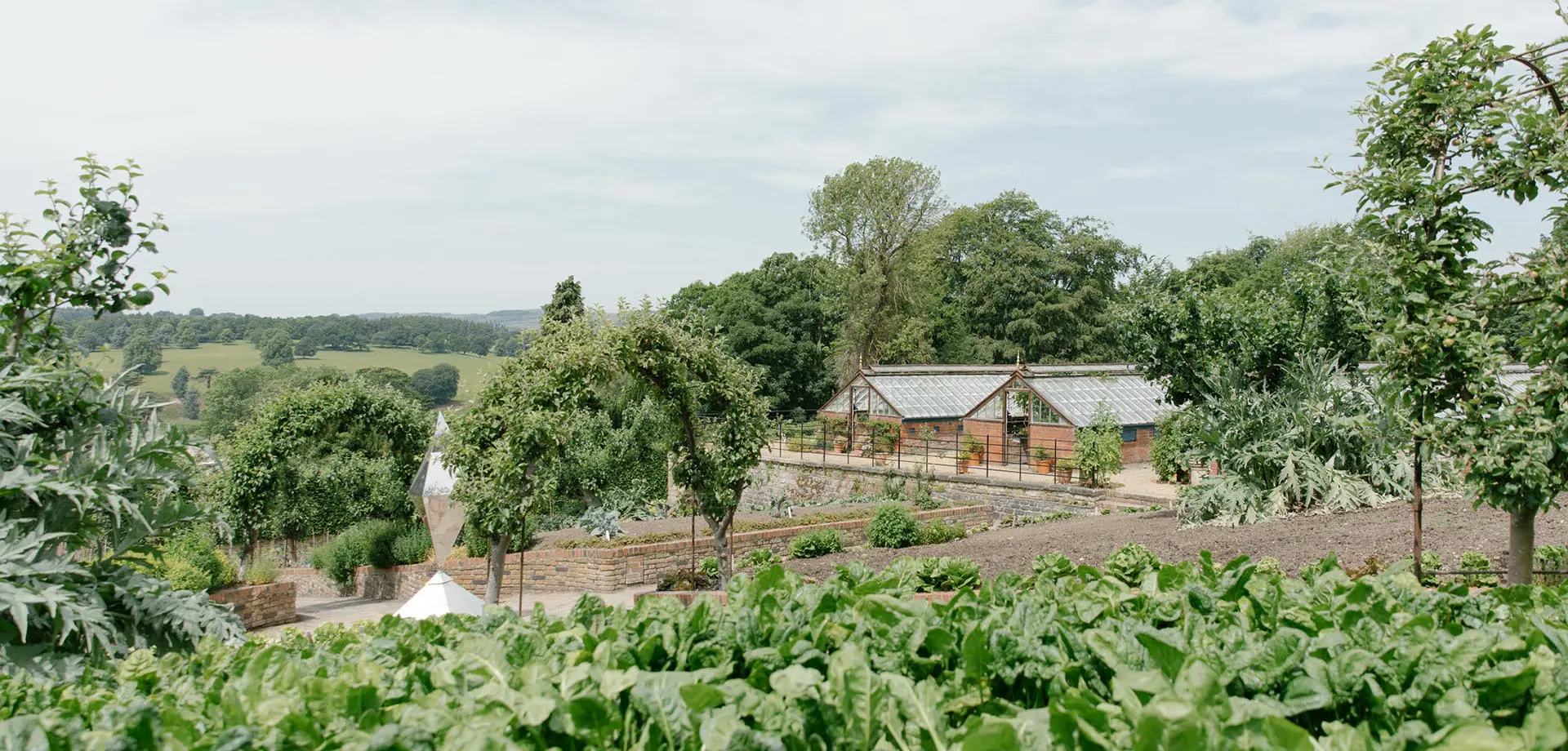 June in the Production Gardens