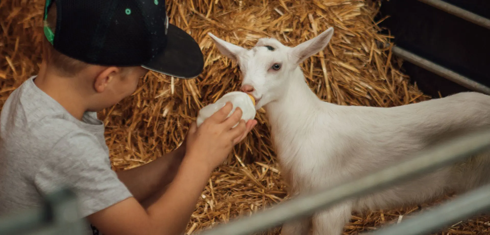 Chatsworth young farmers