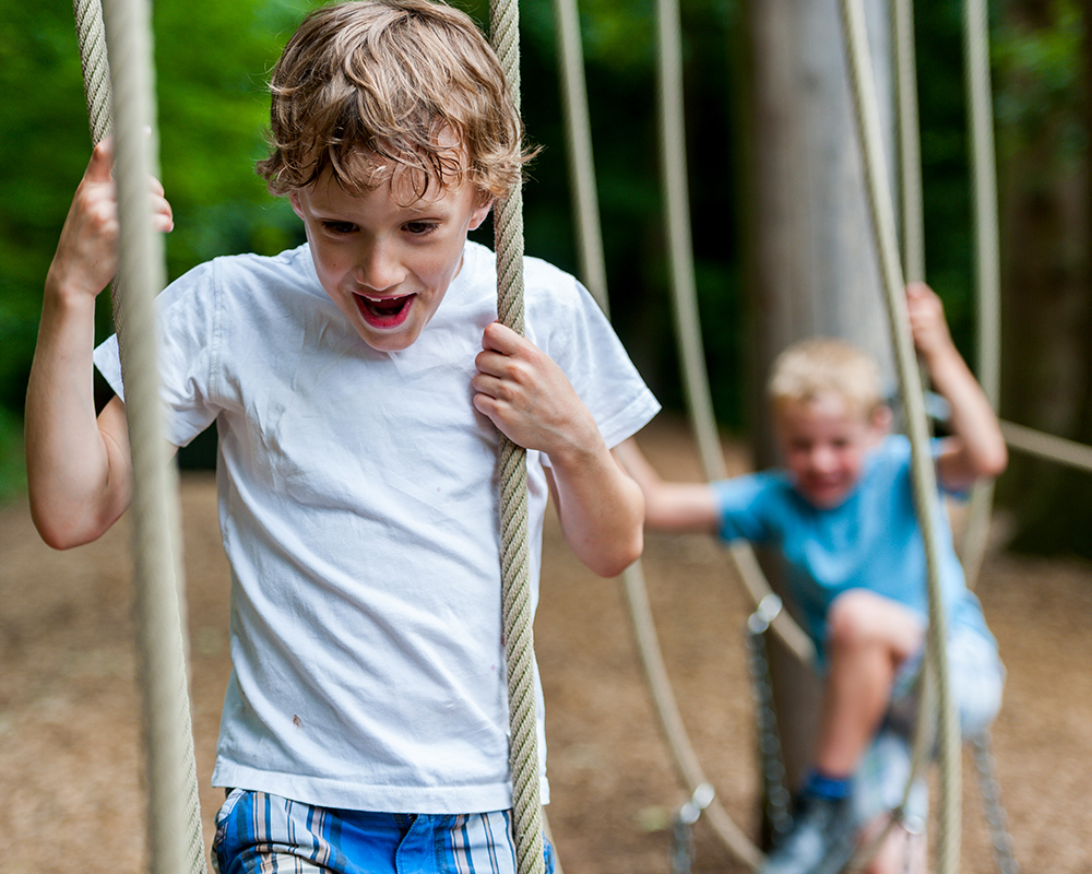 Farmyard fun this half-term