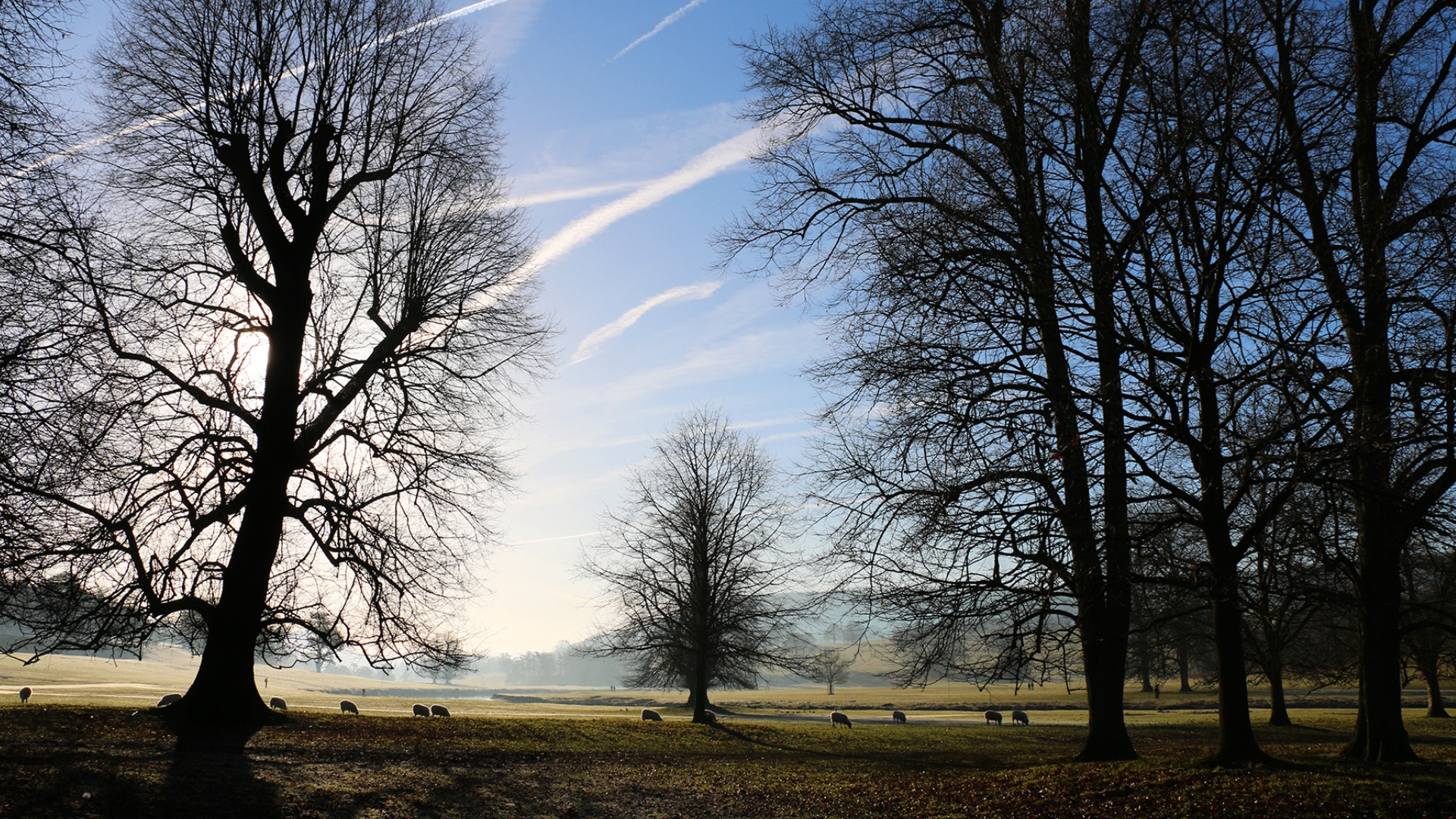 Winter at Chatsworth
