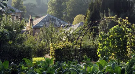 August in the production garden