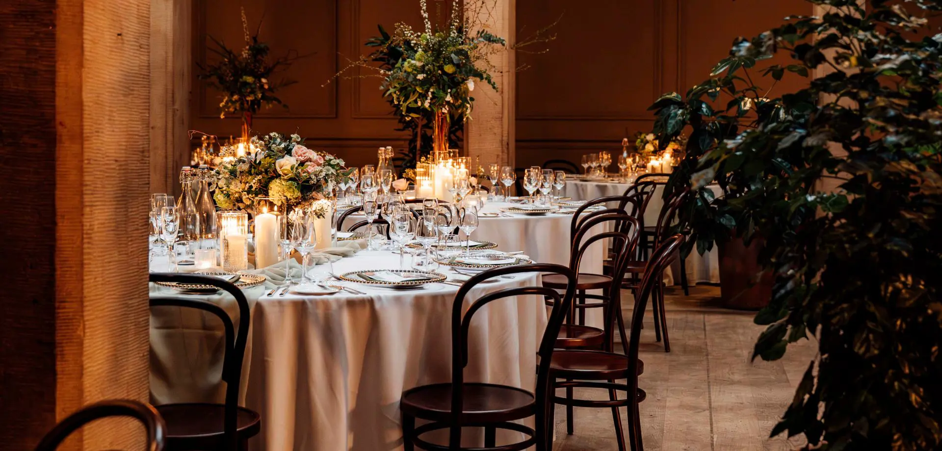 The Stables Sessions: Dine & Strings