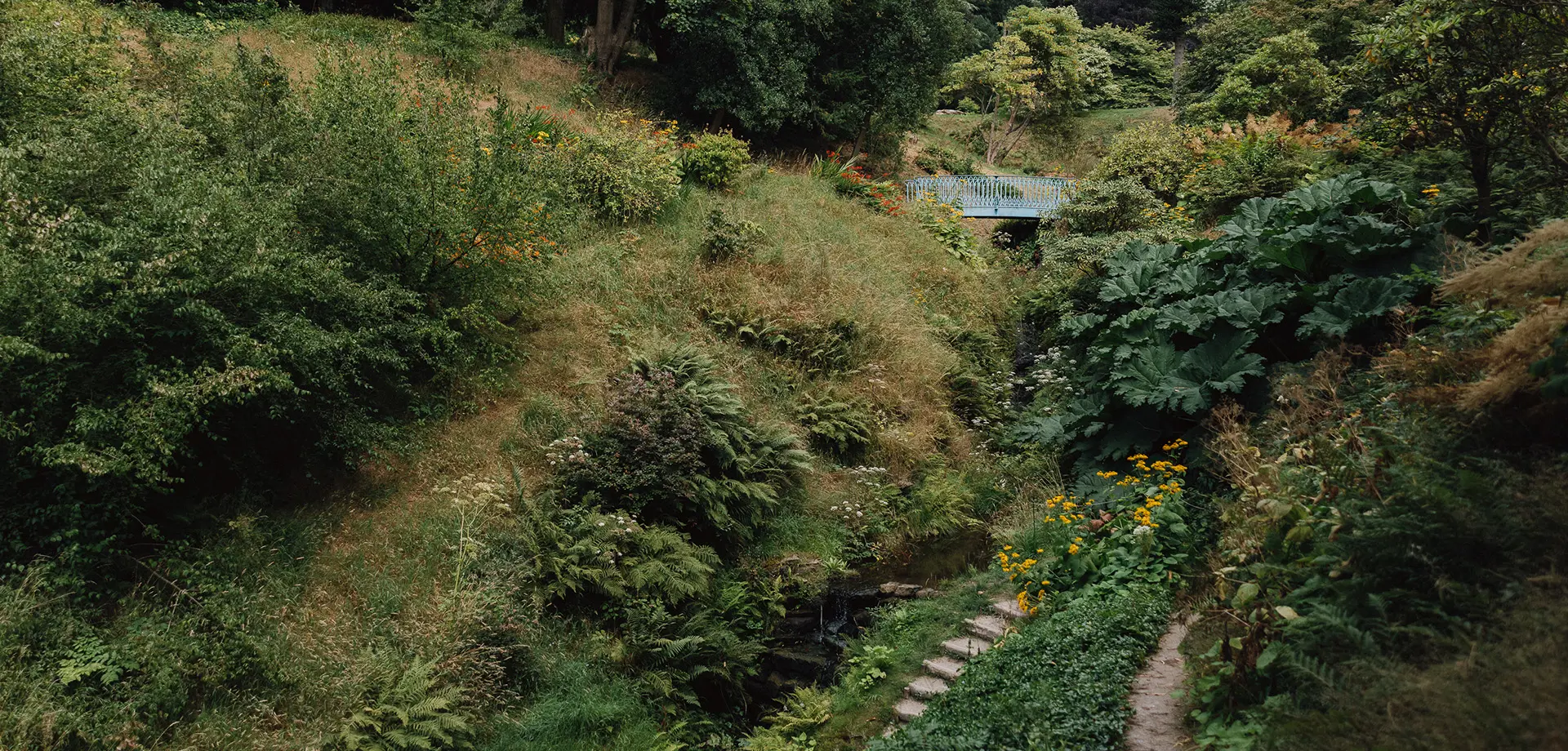 Ravine and Azalea Dell