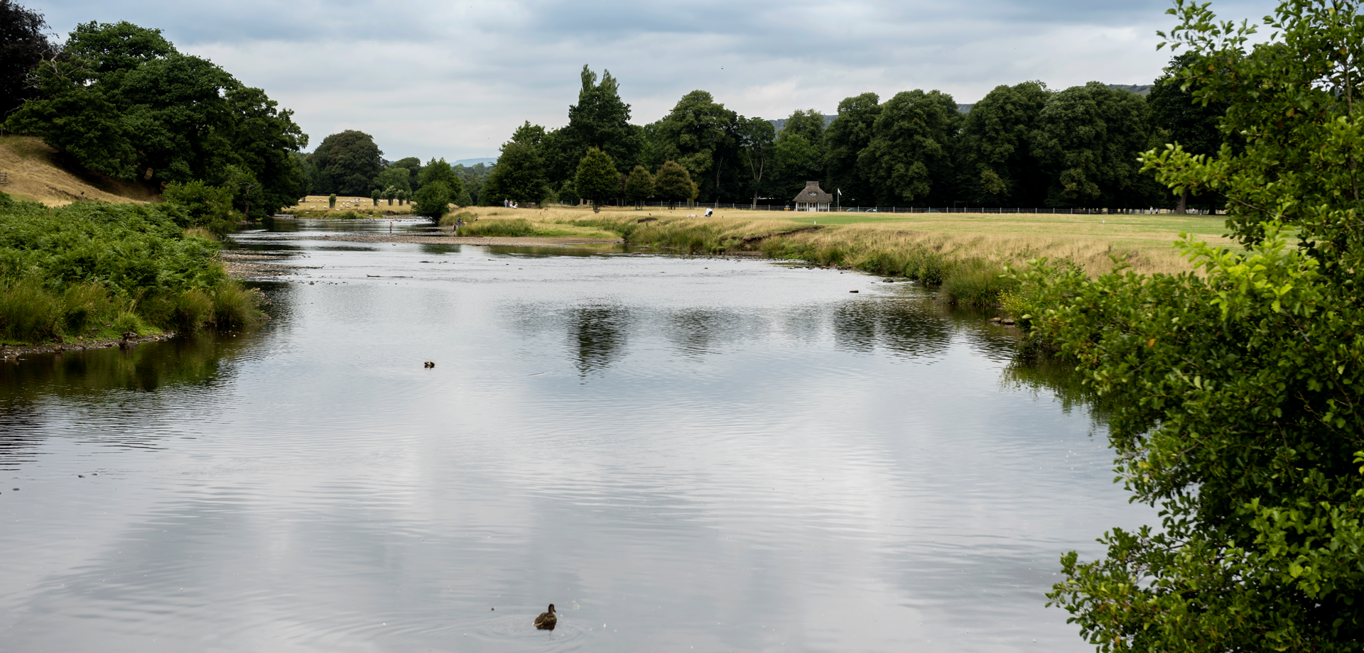 Cascade Flow Yoga - River