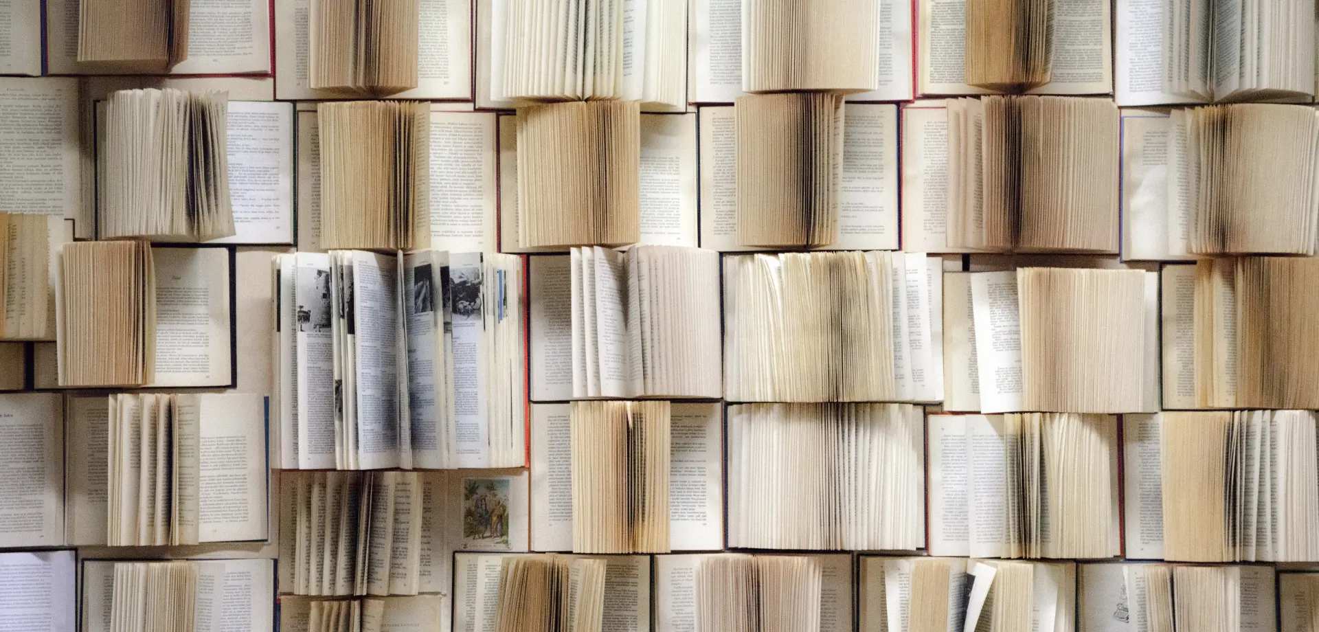 Festival Information