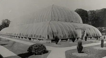 Chatsworth's Great Conservatory: The Glasshouse That Changed the World