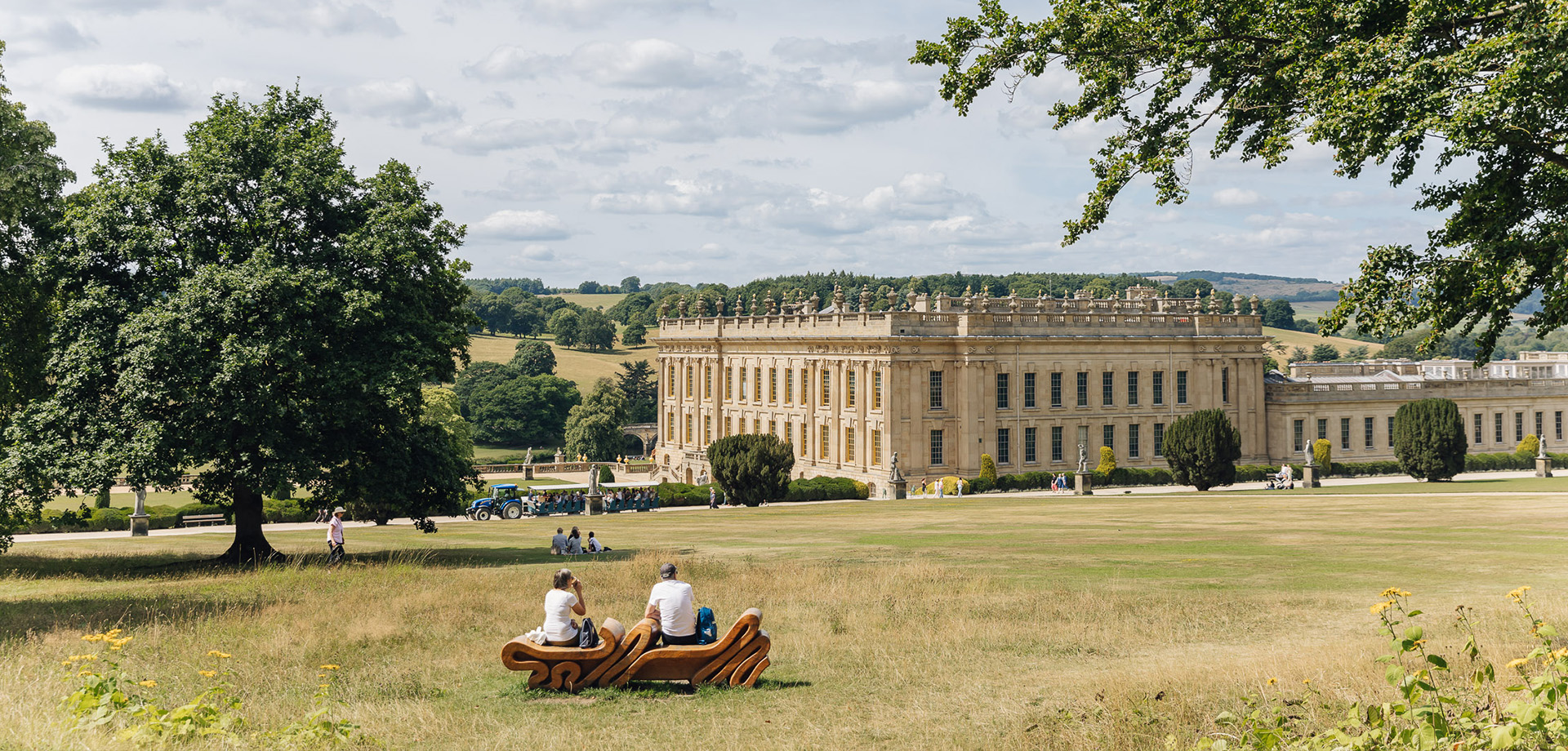 Terms and Conditions