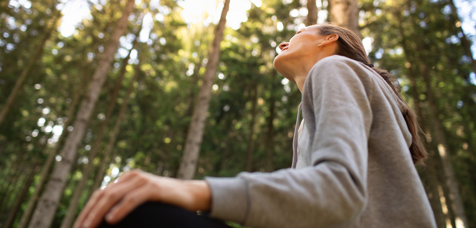 Chatsworth Wellness Festival